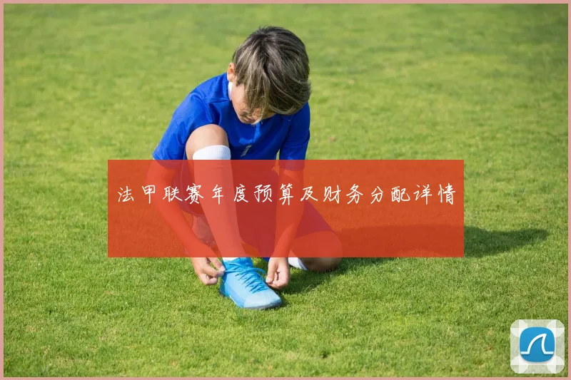 法甲联赛年度预算及财务分配详情