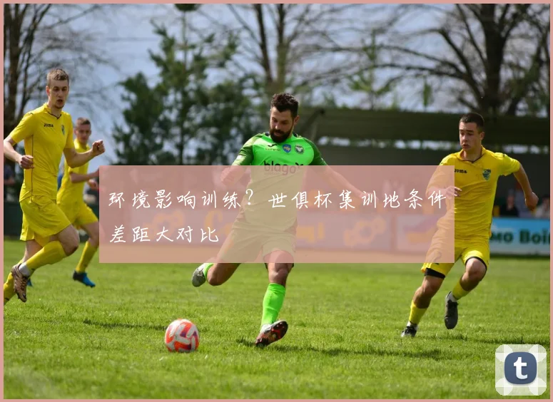 环境影响训练？世俱杯集训地条件差距大对比