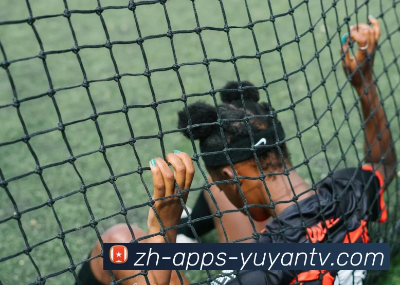 雨燕直播品牌故事