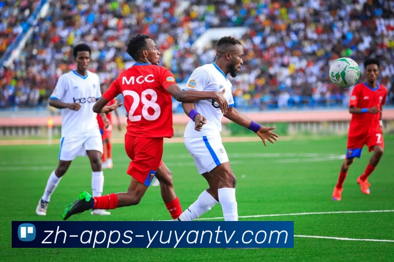 雨燕直播服务体系